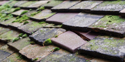 Moira roof repair costs